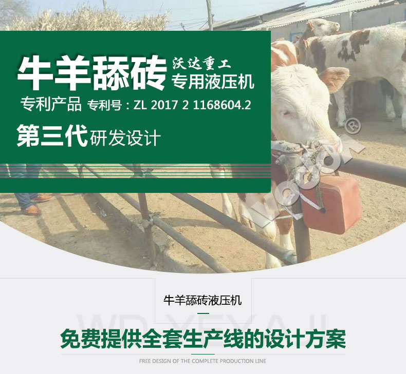 牛羊舔磚專用液壓機 牛羊舔磚專用液壓機